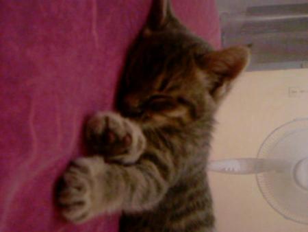 bon dodo!!!!!!!!!!!!!!!!!!!!!!!!!!!!